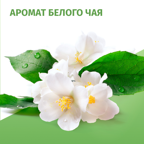 Дезодорант-антиперспирант спрей женский ФА Натуральная свежесть Белый чай, 150мл, изображение