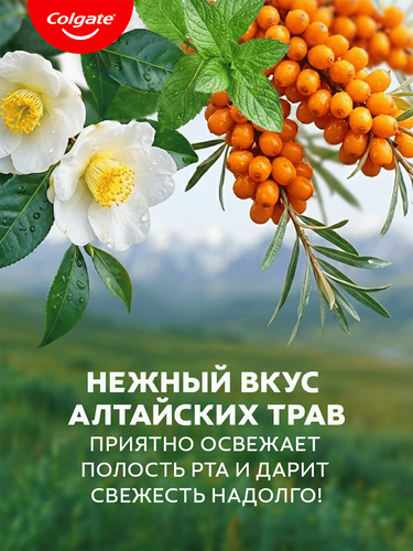 Ополаскиватель для десен COLGATE Plax Алтайские травы, 500мл, картинка