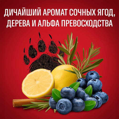 Дезодорант-стик мужской OLD SPICE Bearglove, 50мл, детальное фото