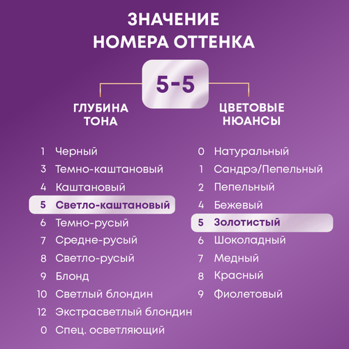 Крем-краска для волос ПАЛЕТТ Интенсивный цвет 5–5 (G4) Какао, 110мл, крупный план
