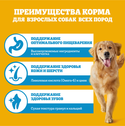 Корм сухой для собак Pedigree с говядиной, 13кг, фотография