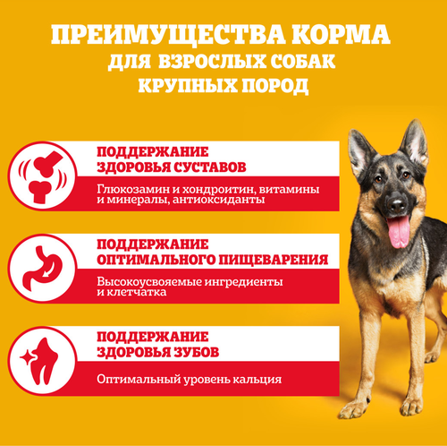 Корм сухой для собак Pedigree с говядиной, 13кг, детальное фото