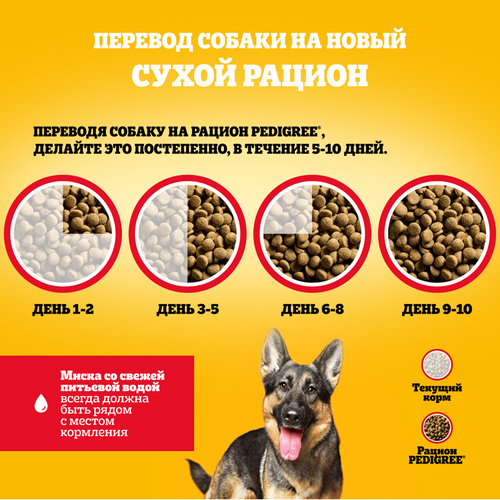 Корм сухой для собак Pedigree с говядиной, 13кг, изображение