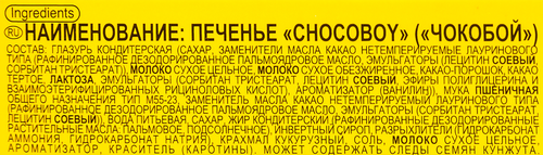 Печенье ORION Choco Boy бисквит с шоколадом, 45г, вид