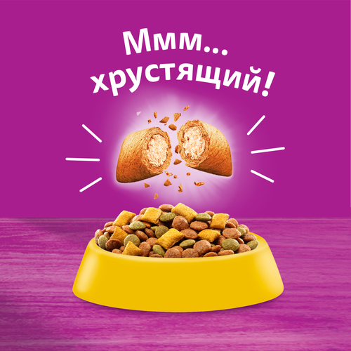 Корм сухой для кошек Whiskas Аппетитное ассорти Курица-Индейка, 800г, картинка