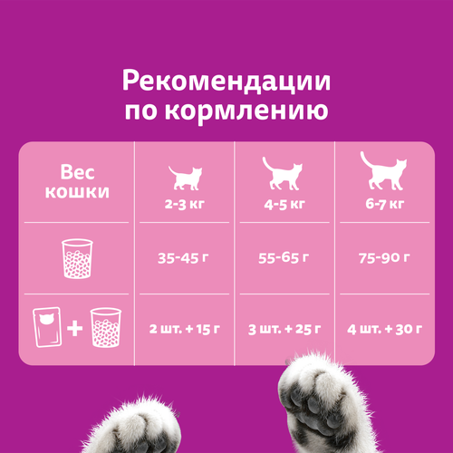 Корм сухой для кошек Whiskas Аппетитное ассорти Курица-Индейка, 800г, крупный план