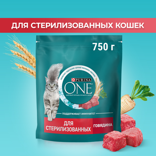 Корм сухой для взрослых кошек PURINA ONE для стерилизованных и кастрированных, с высоким содержанием говядины и пшеницей, 750г, крупный план