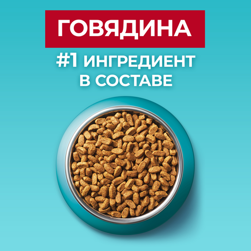 Корм сухой для взрослых кошек PURINA ONE для стерилизованных и кастрированных, с высоким содержанием говядины и пшеницей, 750г, фото