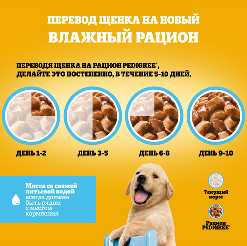 Корм консервированный для щенков Pedigree с говядиной в соусе, 85г, картинка