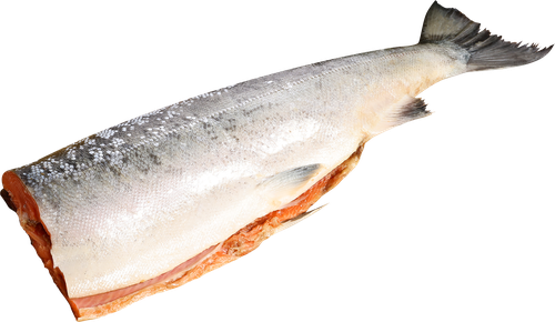 Кета Тихоокеанская потрошеная без головы (из замороженного сырья) ЛЕНТА FRESH, весовая, картинка