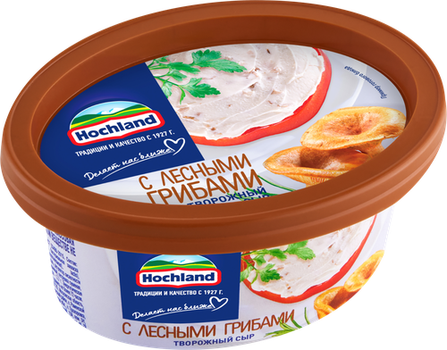 Сыр творожный HOCHLAND с лесными грибами 60%, без змж, 140г, детальное фото