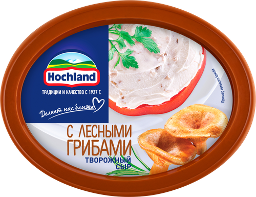 Сыр творожный HOCHLAND с лесными грибами 60%, без змж, 140г, вид