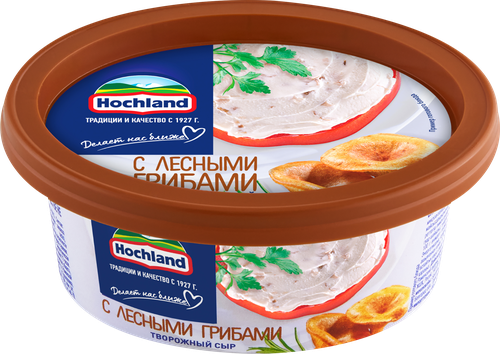 Сыр творожный HOCHLAND с лесными грибами 60%, без змж, 140г, картинка