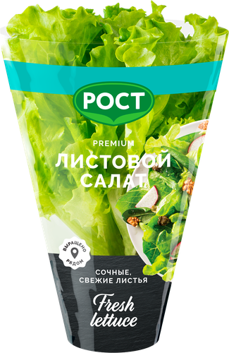 Салат листовой, в горшочке, изображение