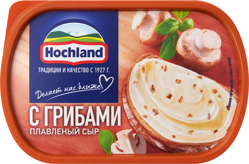 Сыр плавленый HOCHLAND с грибами 55%, без змж, 400г, вид