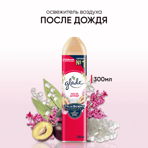 Освежитель воздуха GLADE После дождя, 300мл, изображение