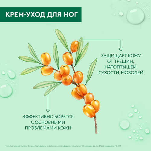 Крем для ног ЧИСТАЯ ЛИНИЯ Интенсивное питание, 75г, изображение
