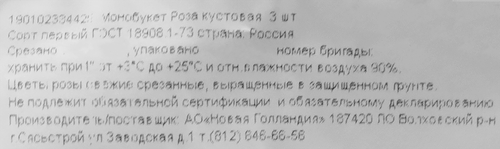 Монобукет Роза кустовая, 3шт, вид
