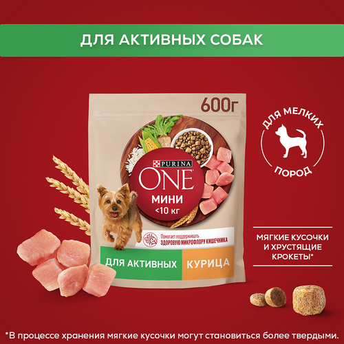 Корм сухой для взрослых собак PURINA ONE для мелких пород с активных образом жизни, с высоким содержанием курицы и с рисом, 600г, изображение