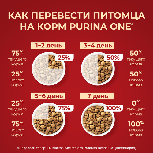 Корм сухой для взрослых собак PURINA ONE Здоровый вес для мелких пород, склонных к набору веса, с высоким содержанием индейки и с рисом 600г, вид