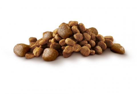 Корм сухой для взрослых собак PURINA ONE для мелких и карликовых пород, с высоким содержанием говядины и с рисом, 600г, вид