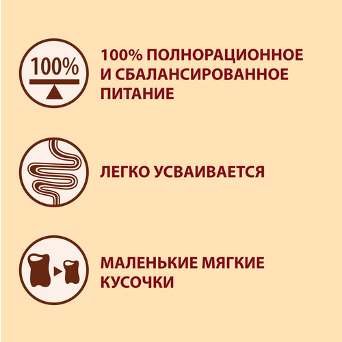Корм сухой для взрослых собак PURINA ONE для мелких и карликовых пород, с высоким содержанием говядины и с рисом, 600г, картинка