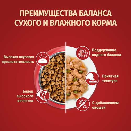 Корм сухой для взрослых собак PURINA ONE Мини Чувствительная, для мелких пород с чувствительным пищеварением, с лососем и рисом, 600г, детальное фото