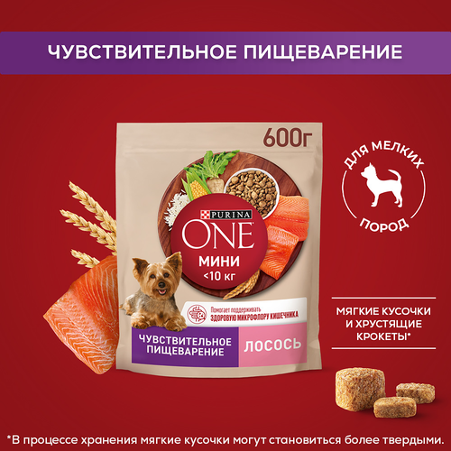 Корм сухой для взрослых собак PURINA ONE Мини Чувствительная, для мелких пород с чувствительным пищеварением, с лососем и рисом, 600г, изображение