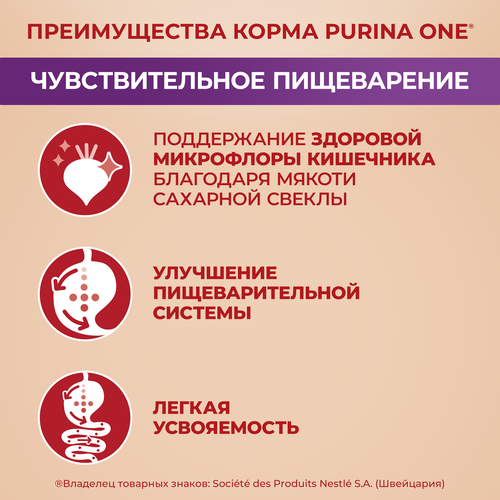 Корм сухой для взрослых собак PURINA ONE Мини Чувствительная, для мелких пород с чувствительным пищеварением, с лососем и рисом, 600г, крупный план