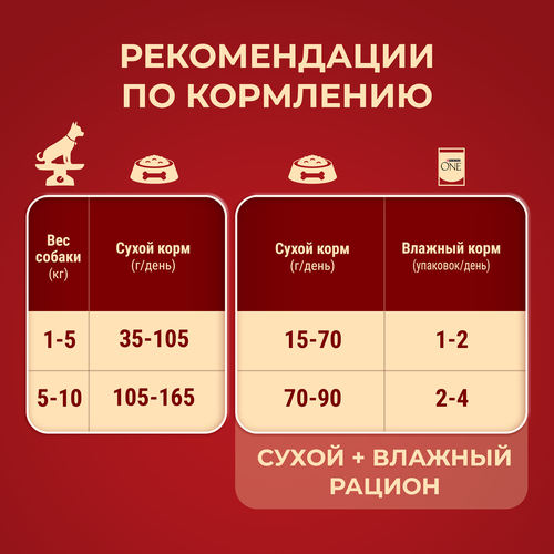 Корм сухой для взрослых собак PURINA ONE Мини Чувствительная, для мелких пород с чувствительным пищеварением, с лососем и рисом, 600г, вид