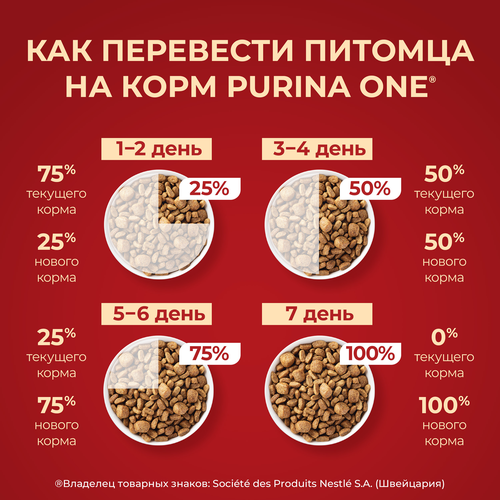 Корм сухой для взрослых собак PURINA ONE Мини Чувствительная, для мелких пород с чувствительным пищеварением, с лососем и рисом, 600г, крупный план