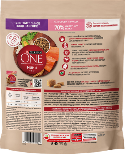 Корм сухой для взрослых собак PURINA ONE Мини Чувствительная, для мелких пород с чувствительным пищеварением, с лососем и рисом, 600г, изображение