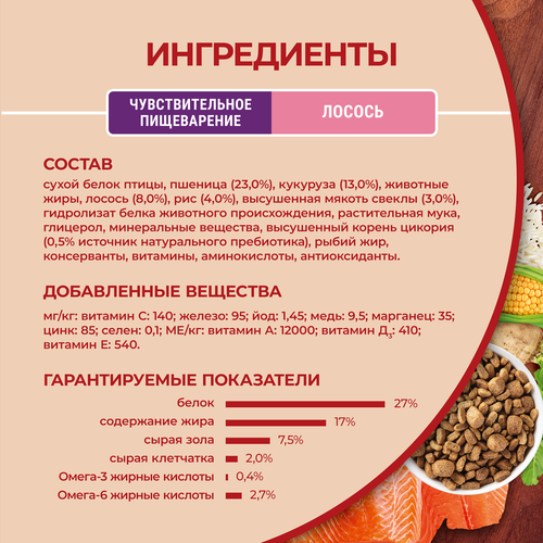 Корм сухой для взрослых собак PURINA ONE Мини Чувствительная, для мелких пород с чувствительным пищеварением, с лососем и рисом, 600г, картинка