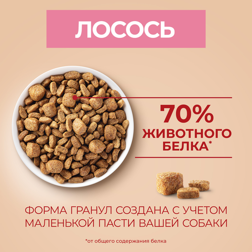 Корм сухой для взрослых собак PURINA ONE Мини Чувствительная, для мелких пород с чувствительным пищеварением, с лососем и рисом, 600г, детальное фото