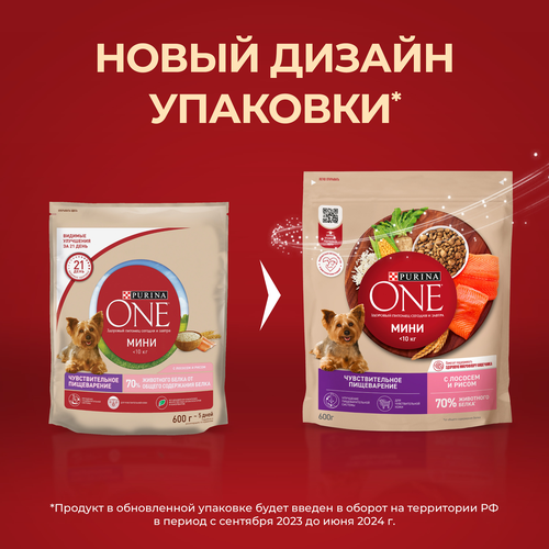Корм сухой для взрослых собак PURINA ONE Мини Чувствительная, для мелких пород с чувствительным пищеварением, с лососем и рисом, 600г, фото