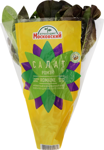 Салат Ромэн, в горшочке, изображение