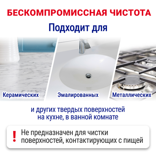 Порошок для чистки ПЕМОЛЮКС Яблоко, 480г, фотография