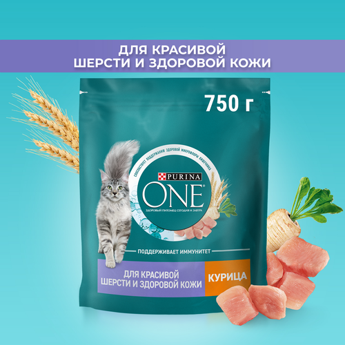 Корм сухой для взрослых кошек PURINA ONE для красивой шерсти, здоровой кожи и контроля образования волосяных комков, с высоким содержанием курицы и цельными злаками, 750г, детальное фото