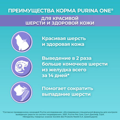 Корм сухой для взрослых кошек PURINA ONE для красивой шерсти, здоровой кожи и контроля образования волосяных комков, с высоким содержанием курицы и цельными злаками, 750г, картинка