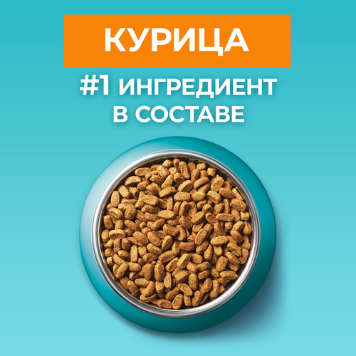 Корм сухой для взрослых кошек PURINA ONE для красивой шерсти, здоровой кожи и контроля образования волосяных комков, с высоким содержанием курицы и цельными злаками, 750г, фотография