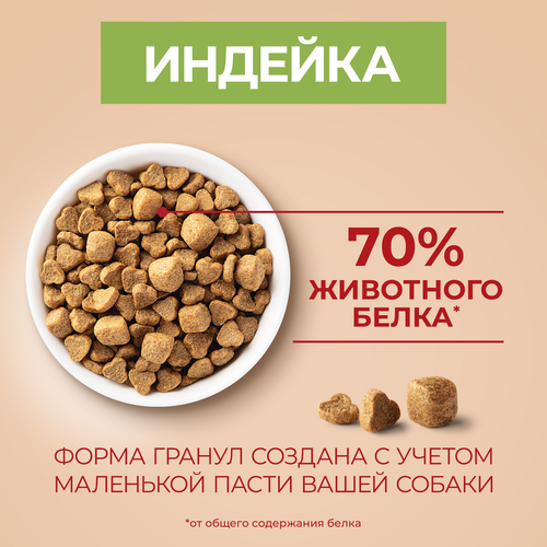 Корм сухой для взрослых собак PURINA ONE Мини Здоровый вес для мелких пород, склонных к набору веса с индейкой и рисом, 1,5кг, фотография