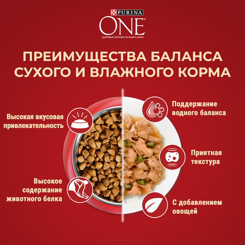 Корм сухой для взрослых собак PURINA ONE Мини Здоровый вес для мелких пород, склонных к набору веса с индейкой и рисом, 1,5кг, крупный план