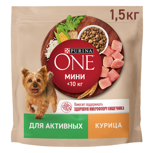 Корм сухой для взрослых собак PURINA ONE Мини Активная, для мелких пород, с курицей и рисом, 1,5кг, крупный план