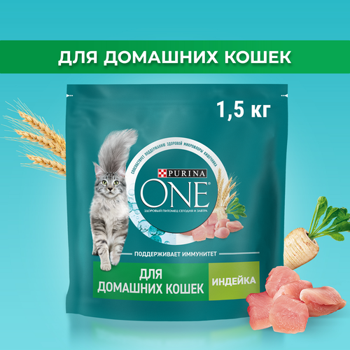 Корм сухой для взрослых кошек PURINA ONE для живущих в домашних условиях, с высоким содержанием индейки и цельными злаками, 1,5кг, крупный план