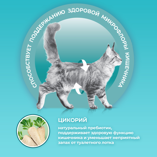 Корм сухой для взрослых кошек PURINA ONE с высоким содержанием говядины и цельными злаками, 750г, вид