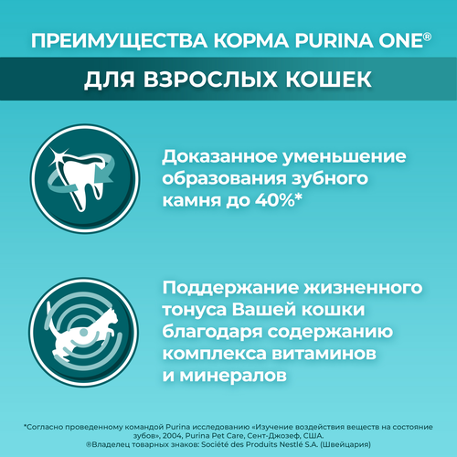 Корм сухой для взрослых кошек PURINA ONE с высоким содержанием говядины и цельными злаками, 750г, крупный план