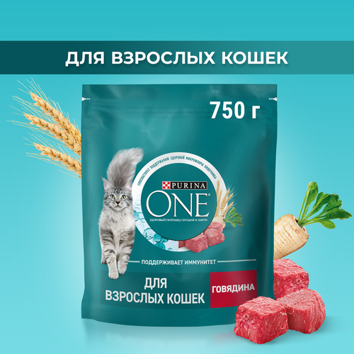 Корм сухой для взрослых кошек PURINA ONE с высоким содержанием говядины и цельными злаками, 750г, картинка