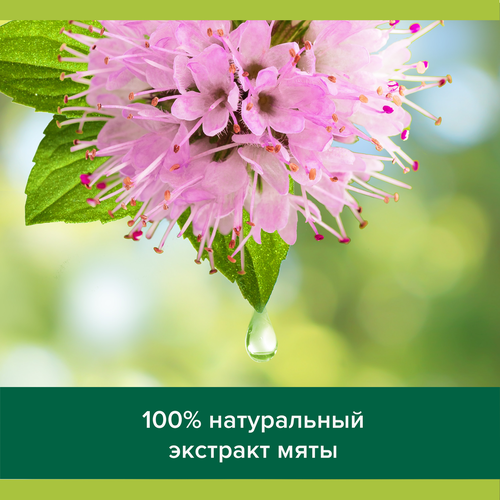 Гель для душа PALMOLIVE Арома настроение Твой массаж с массажными микрочастицами, с солью мертвого моря, алоэ вера и мятой, 250мл, фотография