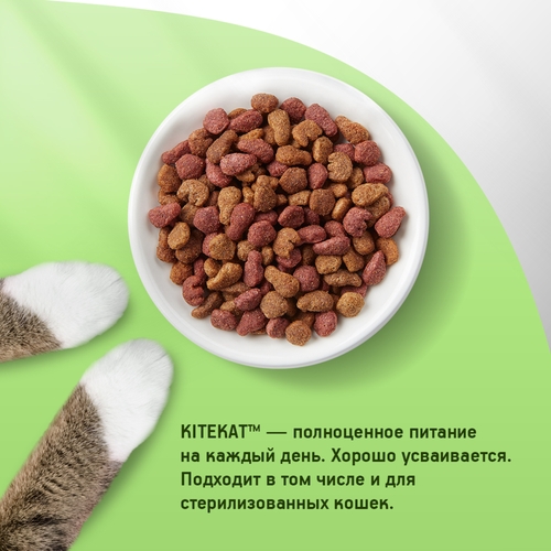 Корм сухой для кошек KITEKAT с аппетитной телятинкой, 800г, крупный план
