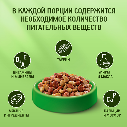 Корм сухой для кошек KITEKAT Мясной пир, 350г, крупный план